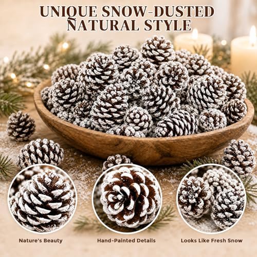 JOHOUSE 12 PCS Large Snow Dusted Pine Cones, Natural Pinecones Bowl Fillers