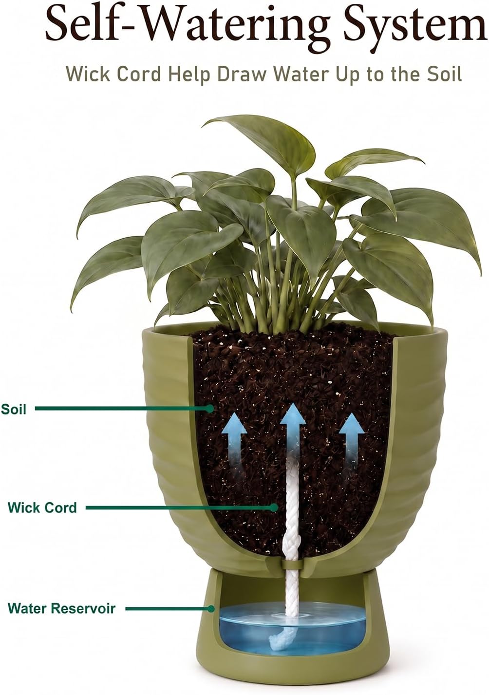 Green Terracotta Self Watering Plant Pots, 6 and 8 Inch with Saucers | Small and large clay flower pots with drainage