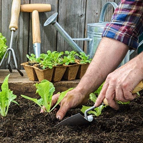 Daniel's Plants 2" Naked Pots Seedling Trays | Natural Plantable Seed Starter Trays | OMRI-Listed Biodegradable | Earth