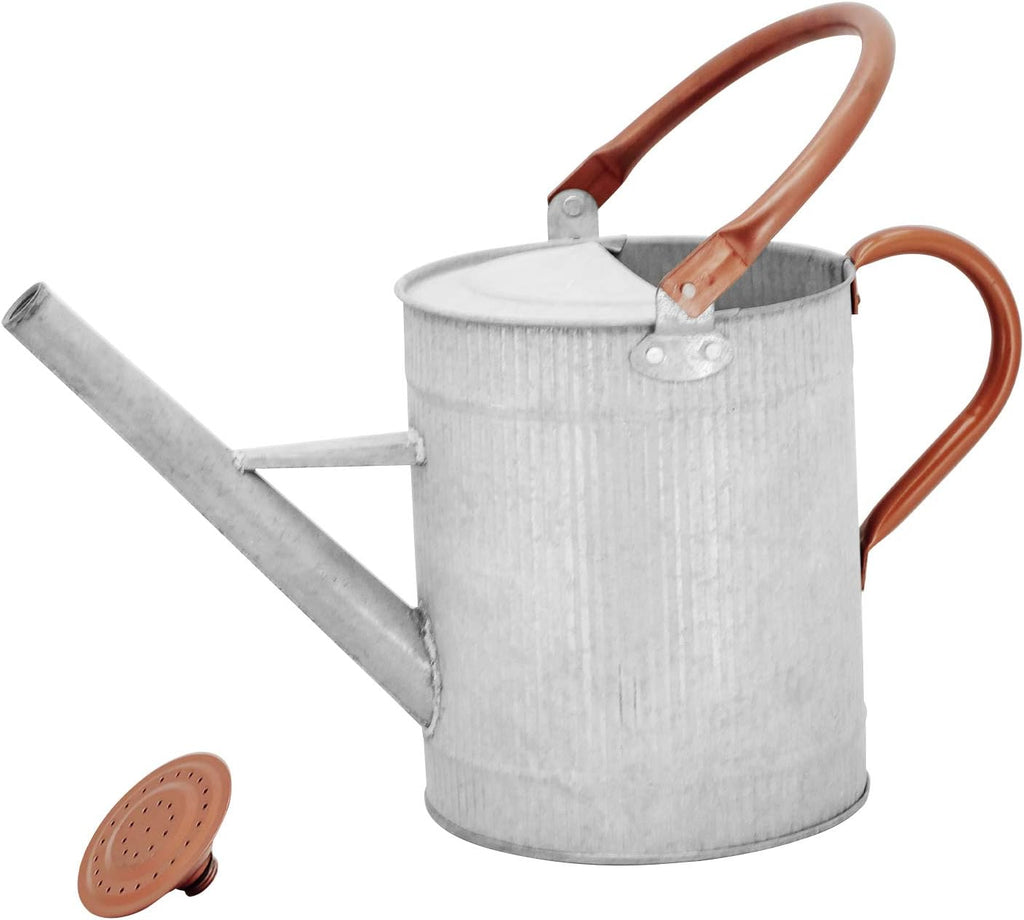 1 Gallon Watering Can, Metal Watering Can with Removable Spout, Farmhouse Galvanzied Water Can, Nice Plant Water Can