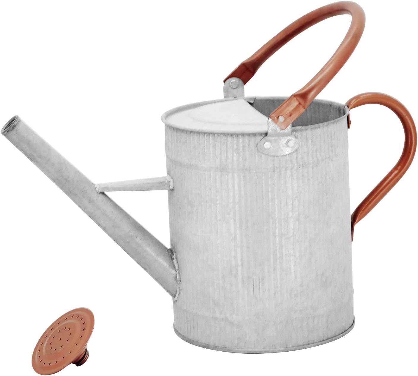 1 Gallon Watering Can, Metal Watering Can with Removable Spout, Farmhouse Galvanzied Water Can, Nice Plant Water Can