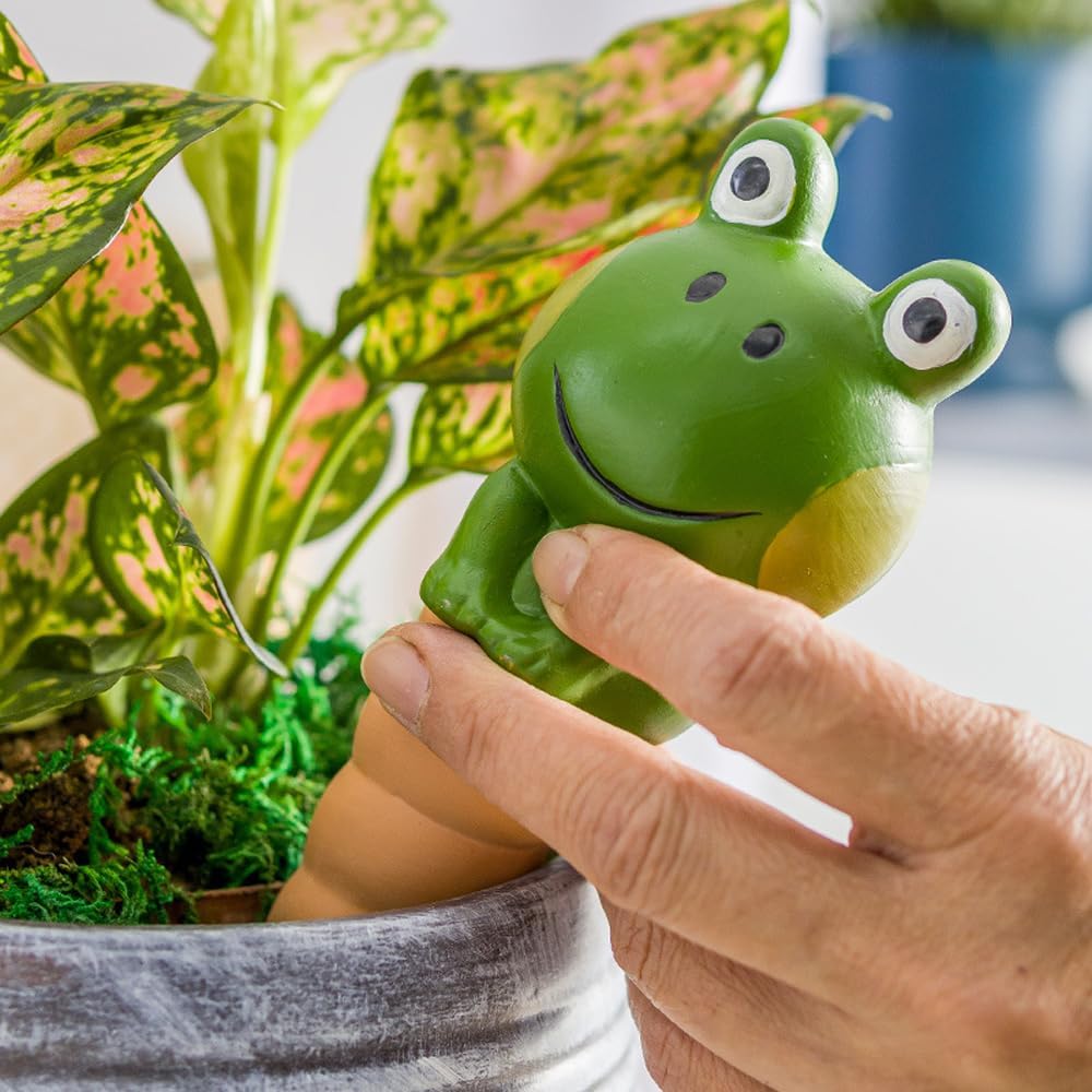 Kaxich Terracotta Plant Self Watering Spikes, 4 Pack Plant Watering Globes Frogs Styles Decorative Self Plant Watering