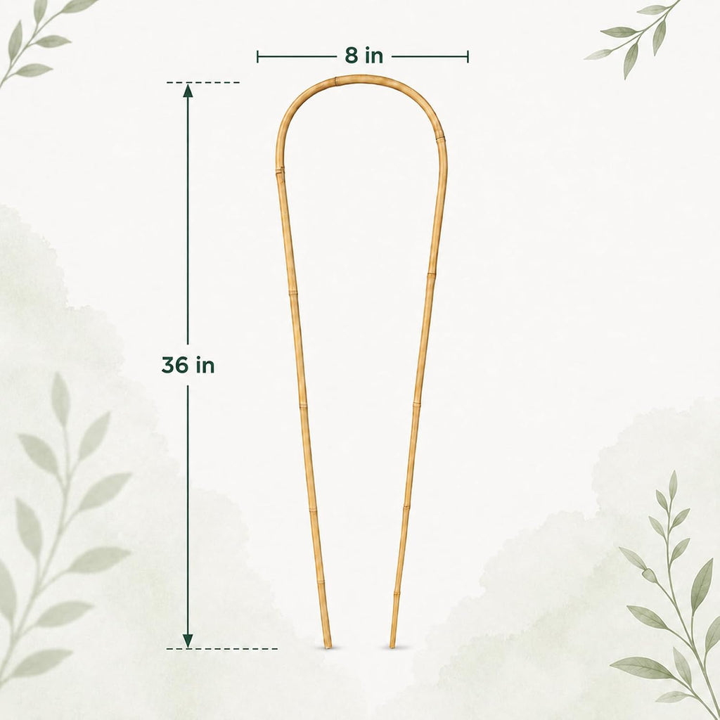 36in Natural Bamboo U-Hoop Trellis for Climbing Plants, 3 PCS | U-Shaped Plant Support Hoop for Potted Plants, Vines