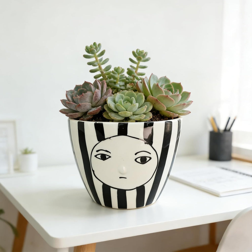 Modern Abstract Face Ceramic Planter with Black & White Stripes ，5.9in Indoor Planter with Drainage Outlet and Tray