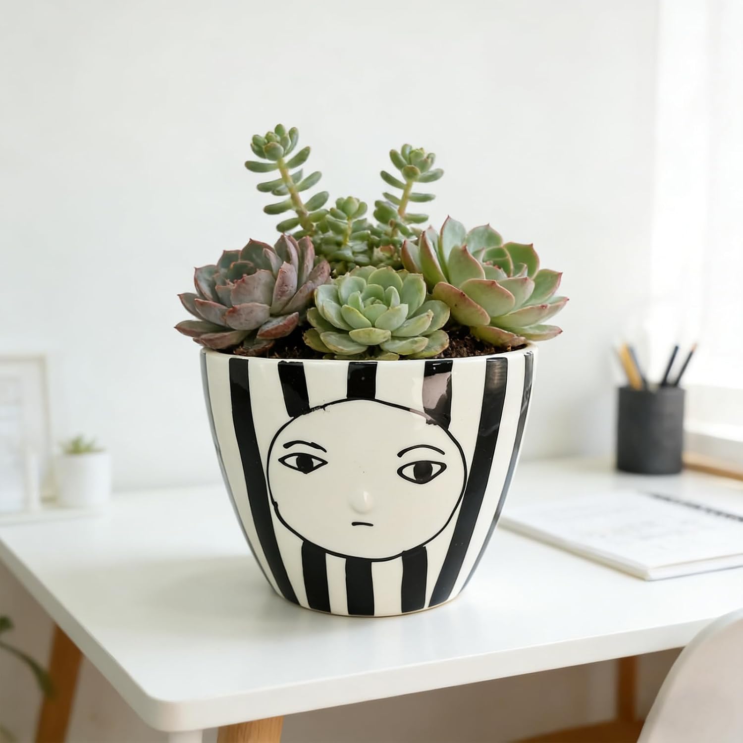 Modern Abstract Face Ceramic Planter with Black & White Stripes ，5.9in Indoor Planter with Drainage Outlet and Tray