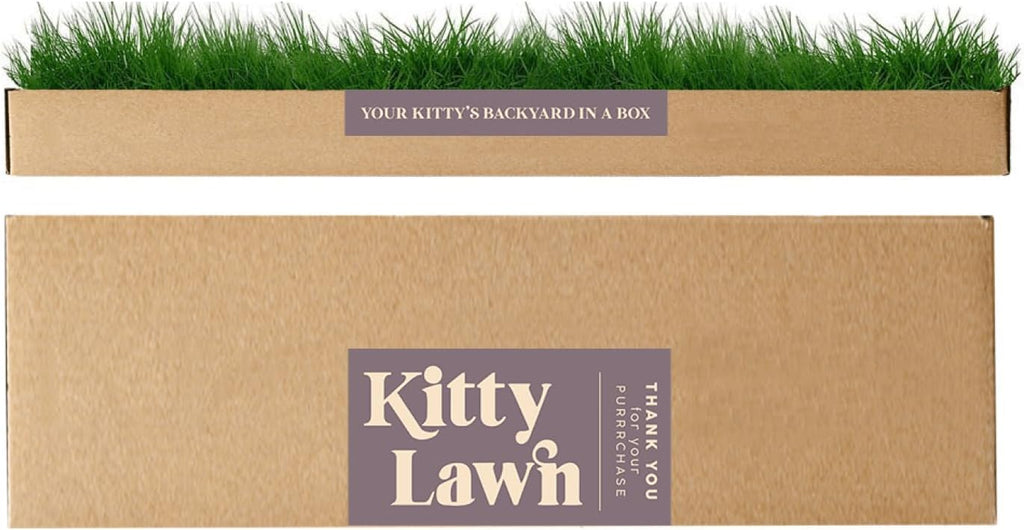 Kitty Lawn Real Grass Cat Lounger & Bed - Natural Grass Pad for Cats 24x9 | USA-grown real grass lounging pad for