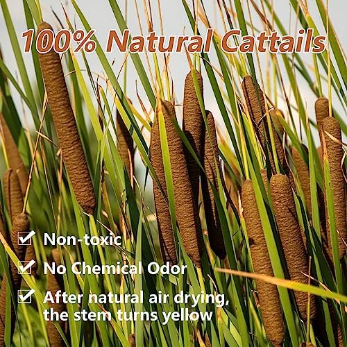 45pcs Large Natural Brown Cattails Bundles, 17'' Real Dried Flowers