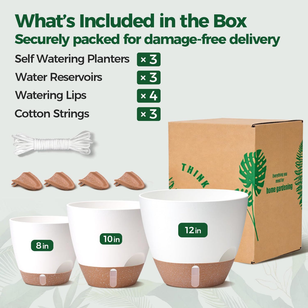 T4U Self Watering Pots for Indoor Plants, 8-12 Inch, 3 Pack, White | Visible water level window, Pothos and monstera