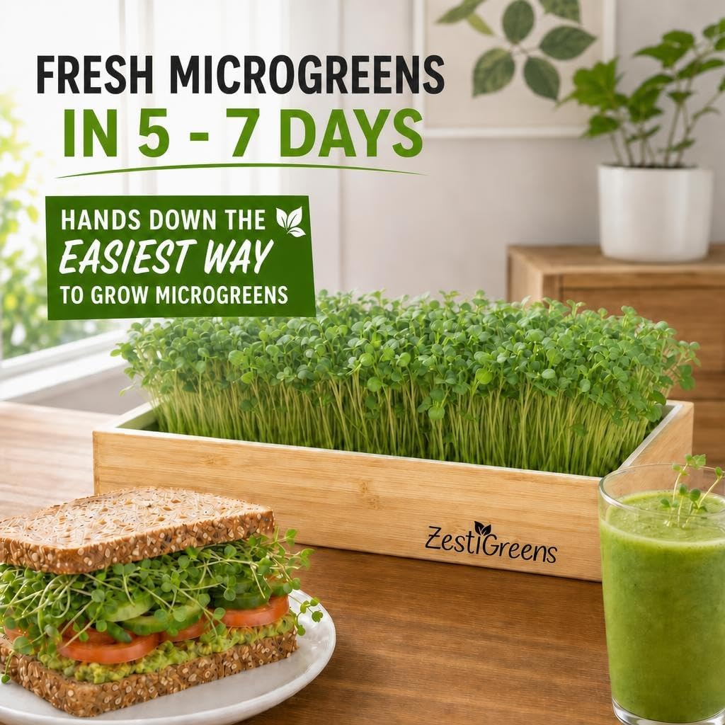 Microgreens Growing Kit - Self-Watering Tray with US Premium Seeds | Grow broccoli and salad mix indoors with a