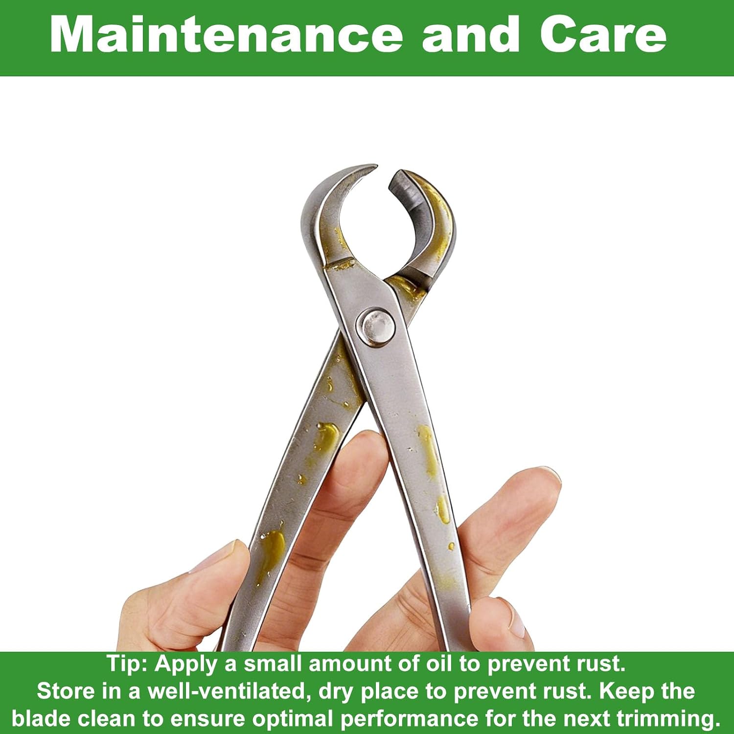 3pcs Bonsai Tool, Professional Stainless Steel Bonsai Trimming Kit with Knob Cutter Concave Cutter Leaf Scissors for
