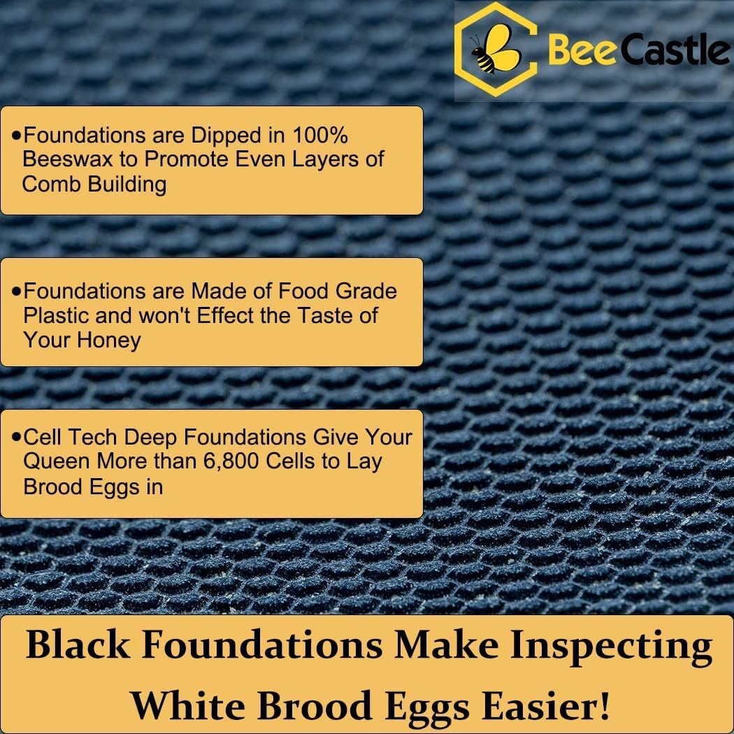 BeeCastle 10 Frame Langstroth Bee Hive Coated with 100% Beeswax Includes Beehive Frames and Waxed Foundations (2 Deep