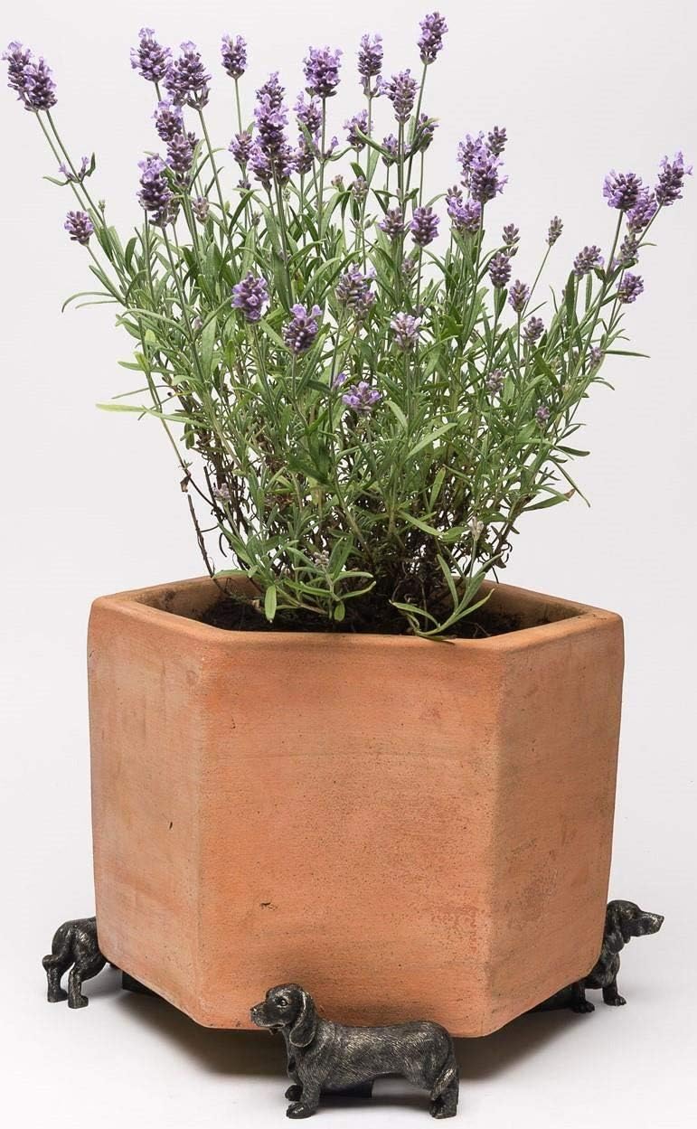 Potty Feet Dachshund Figures Plant Pot Feet Planter Riser - Pot Support Feet - Handmade Yard Art Ornaments - 3pcs