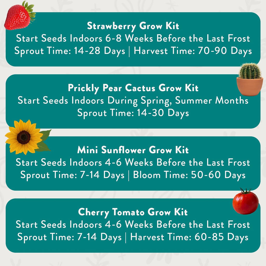 Modern Sprout Complimentary Color Grow Kits - Seed Starter Kit, Pack of 4 | Includes Organic Strawberry, Tomato