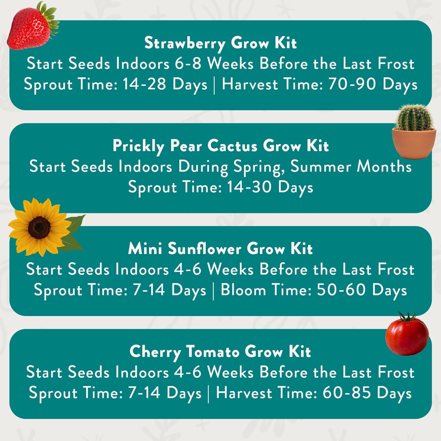 Modern Sprout Complimentary Color Grow Kits - Seed Starter Kit, Pack of 4 | Includes Organic Strawberry, Tomato