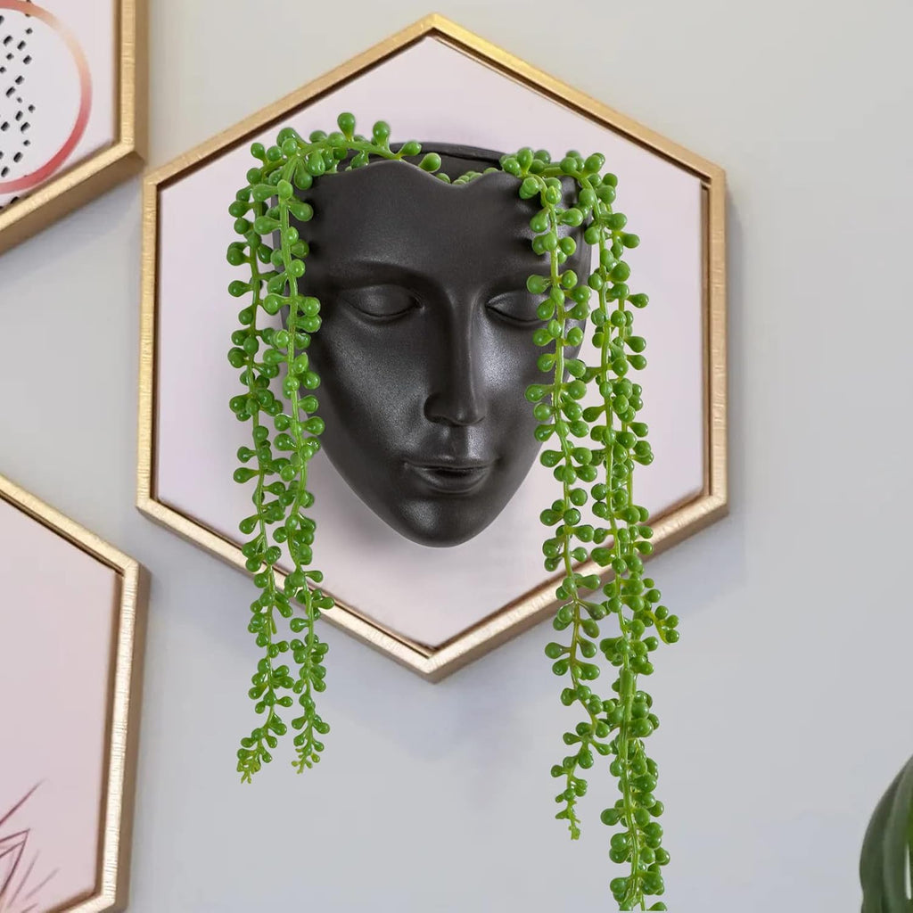 Modern Hanging Plant Holder Wall Planters for Indoor Plants, Multifunctional Wall Plant Holders and Hanging Planters