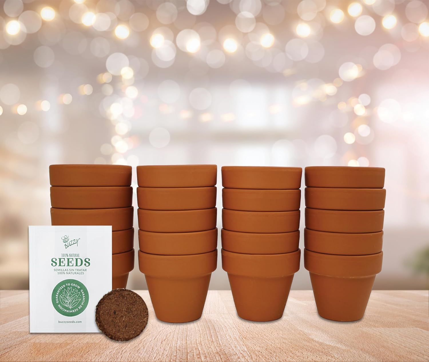 BUZZY Seeds Spruce Tree Grow Kit, Bulk 20-Pack - Mini Terracotta Pot Grow Set - Complete Indoor/Outdoor Gardening Kit