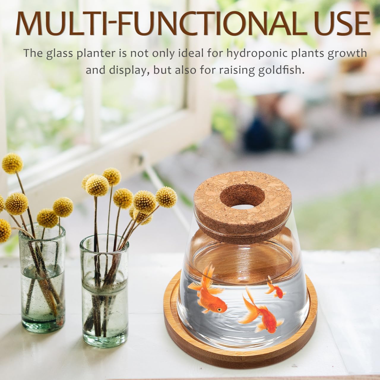 2pcs Glass Plant Propagation Station with Wooden Base Hydroponic Plants Vase for Indoor Decor Glass Terrarium Vase Jars