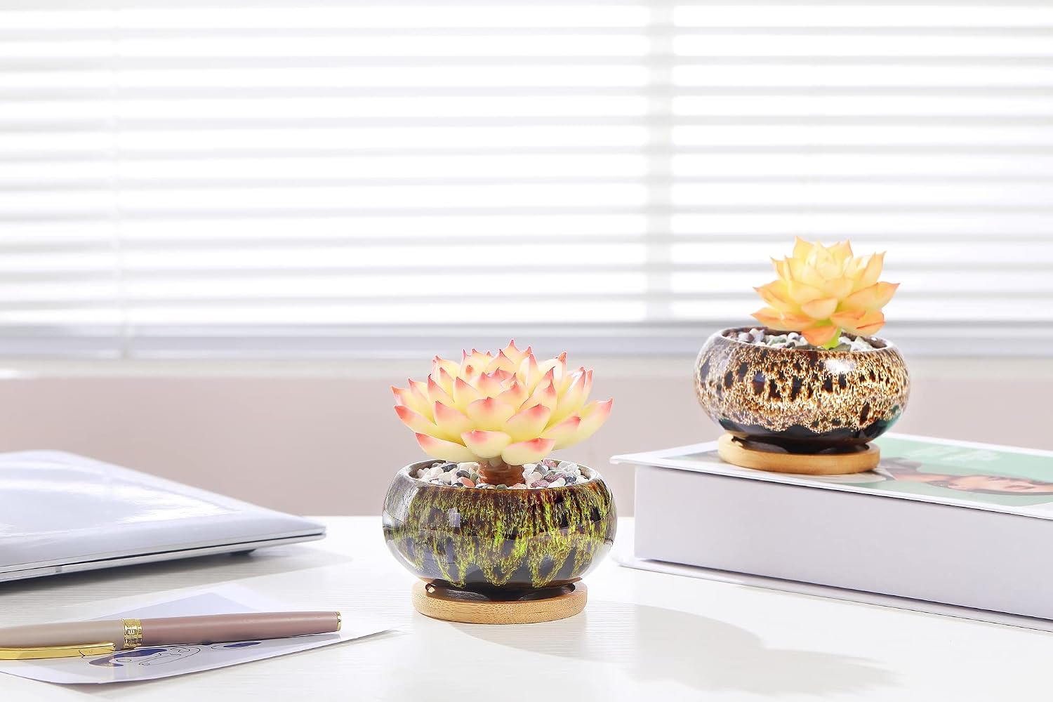 Cute Ceramic Succulent Garden Pots, Planter with Drainage and Attached Saucer, Set of 5 -Plants Not Included (Vivid