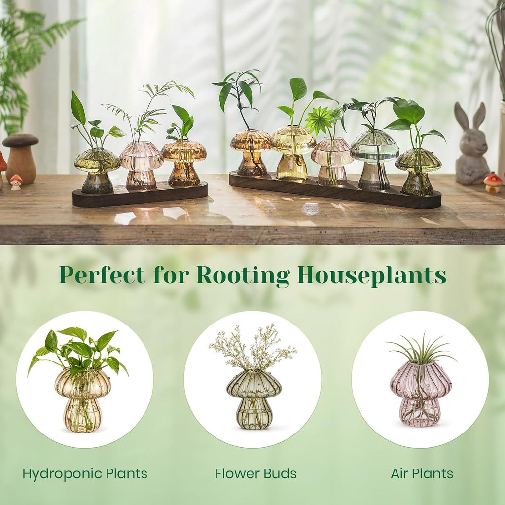 Hewory Plant Propagation Stations: 5PCS Amber Mushroom Vase with Wood Tray | Gifts for Plant Lovers, Mother