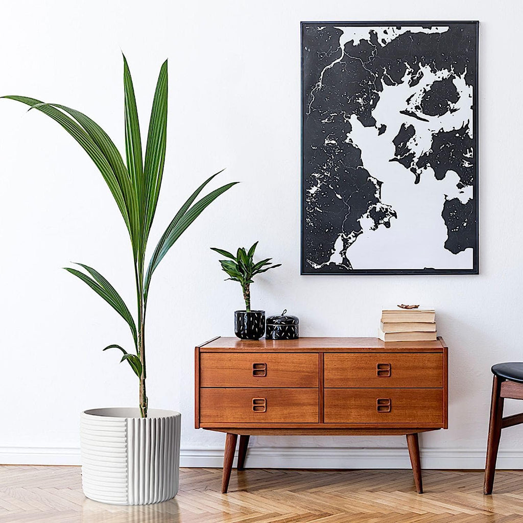 Fox & Fern Large Planter for Indoor or Outdoor, Matte White, 12 Inch | UV & Frost Resistant, 70% Lighter than Ceramic