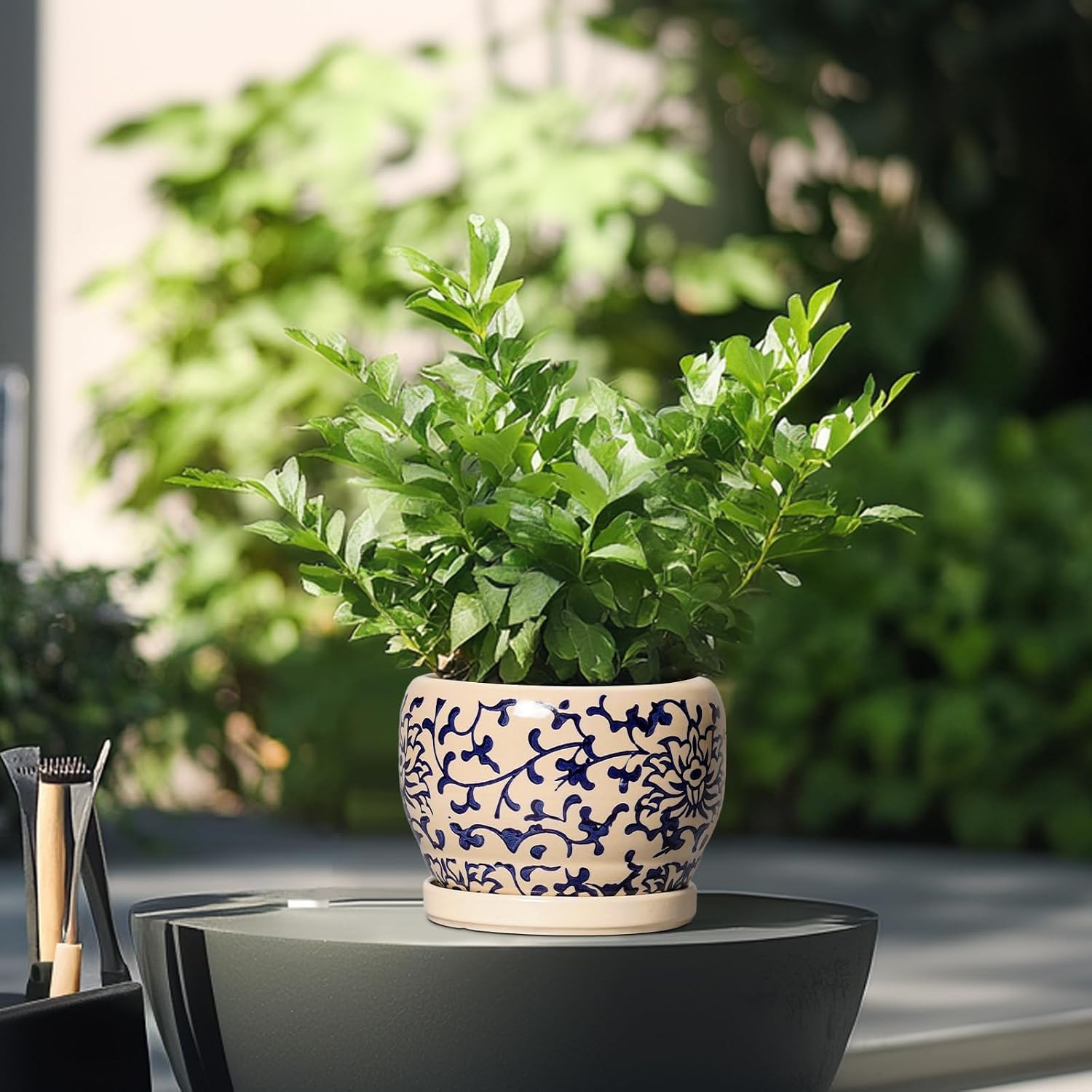 SQOWL Ceramic Flower Pots - 6 Inch Plant Pot Indoor with Drainage Hole and Saucer, Porcelain Ceramic Planter Outdoor