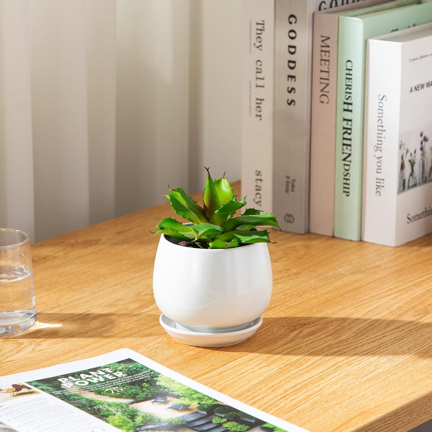 vancasso 3-Pack Ceramic Plant Pots, 3.7/4.8/6.2 Inch Indoor Planters with Saucers & Drainage Hole Planter pots for
