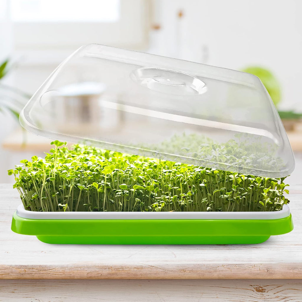Seed Sprouter Tray with Drain Holes,Seed Germination Tray Kit BPA Free Nursery Tray,Soil-Free Big Capacity Healthy