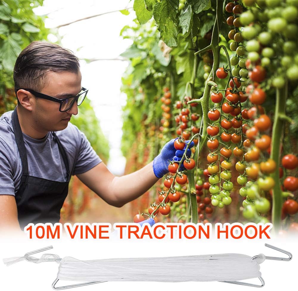 DAMEING Plant Climbing Hooks, Tomato Support J Hook Garden Hooks to Prevent Tomatoes from Pinching or Falling Off