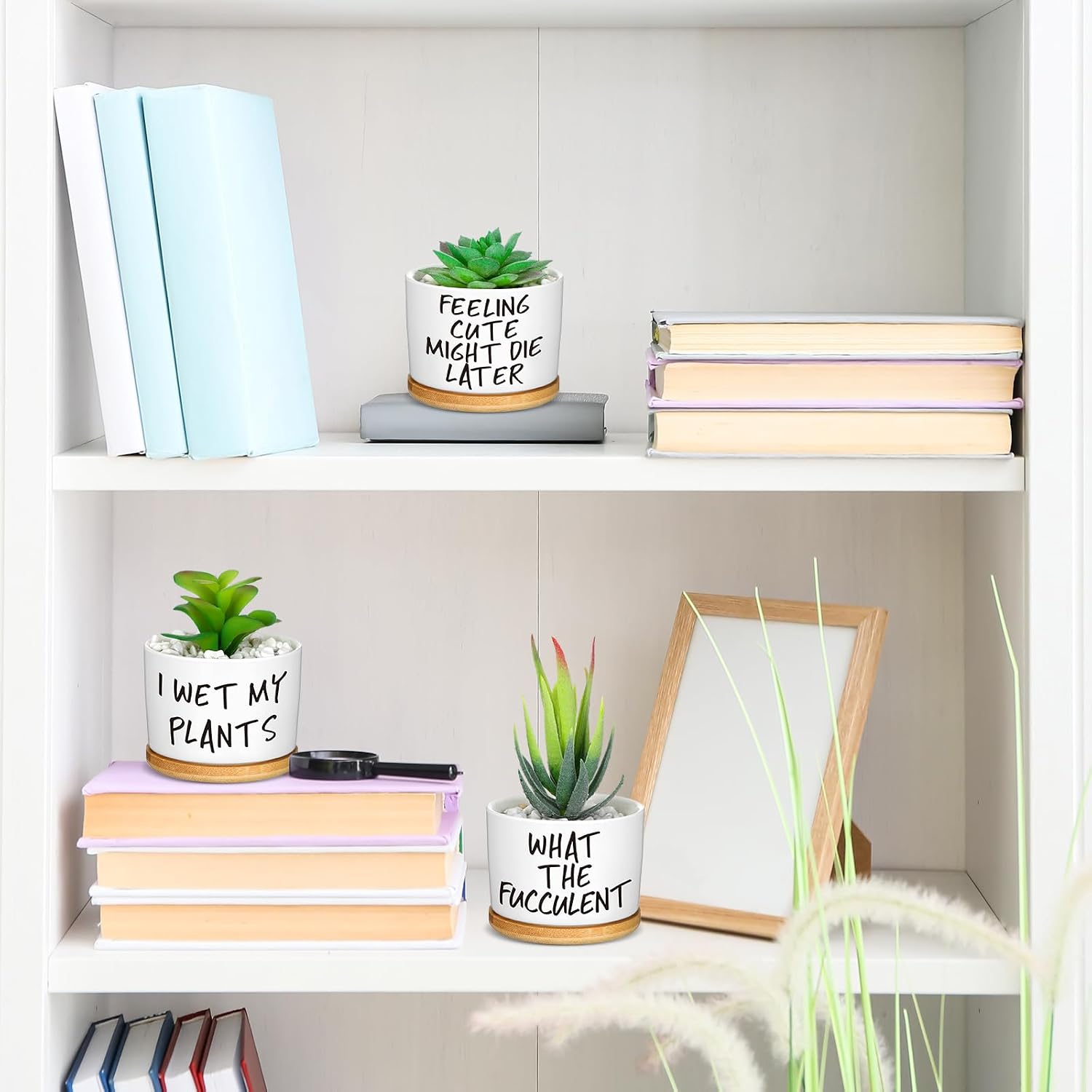 9 Pcs Funny Succulent Pots Ceramic Planters Bamboo Tray,Funny | Cute Aloe Cactus Planters with Drainage, White Mini