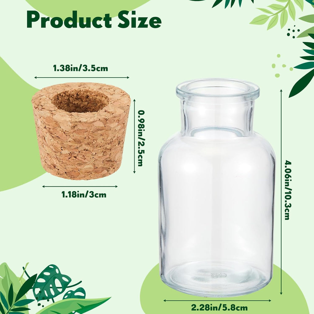 12 Pack Glass Plant Propagation Stations, Cylindrical | Hydroponic Vases, Tabletop Planter, Plant Terrarium Jar for