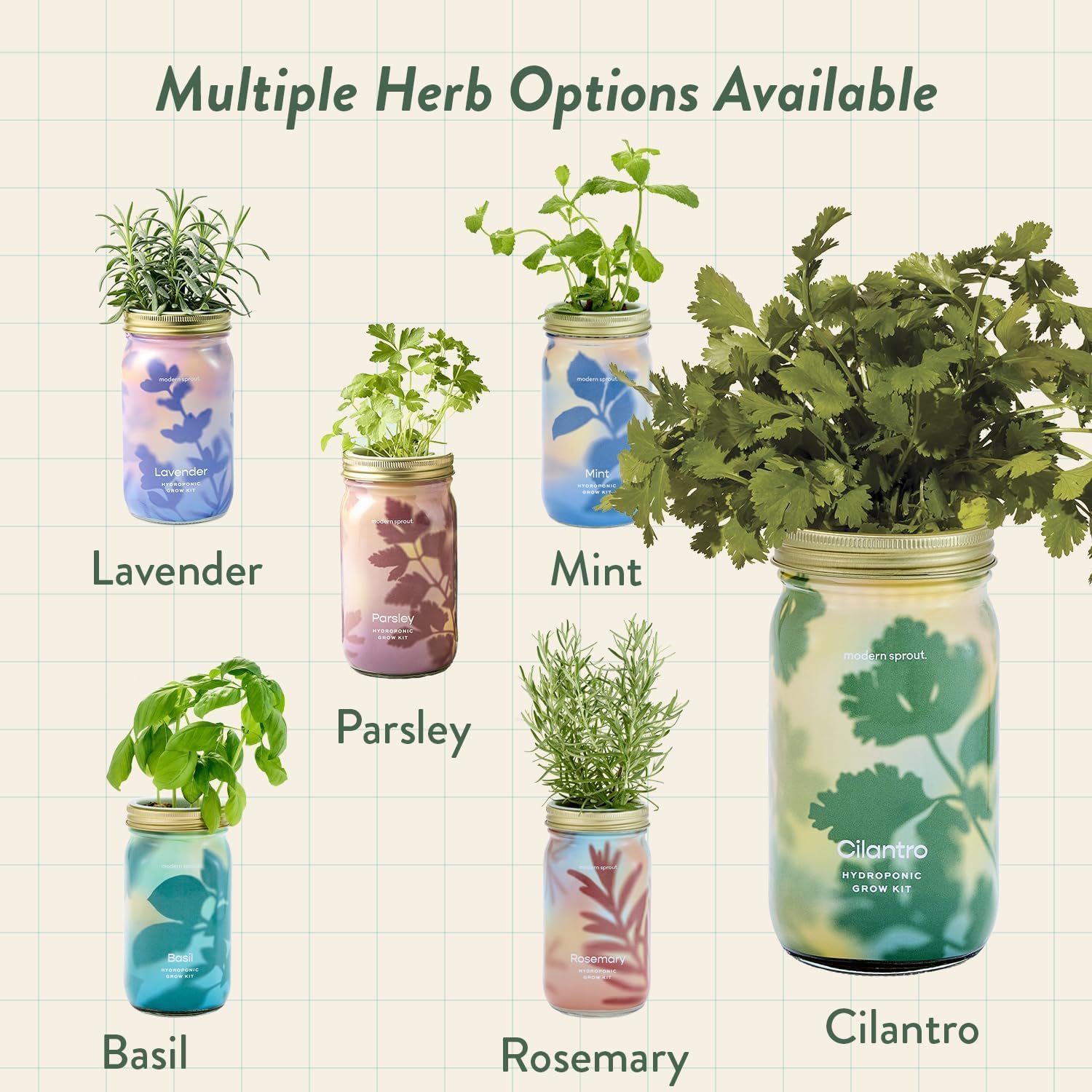 Modern Sprout MasonJar+Replant Kit-Self-Watering Hydroponic System-Cilantro | Growing System Kit w/Organic Herb Seeds