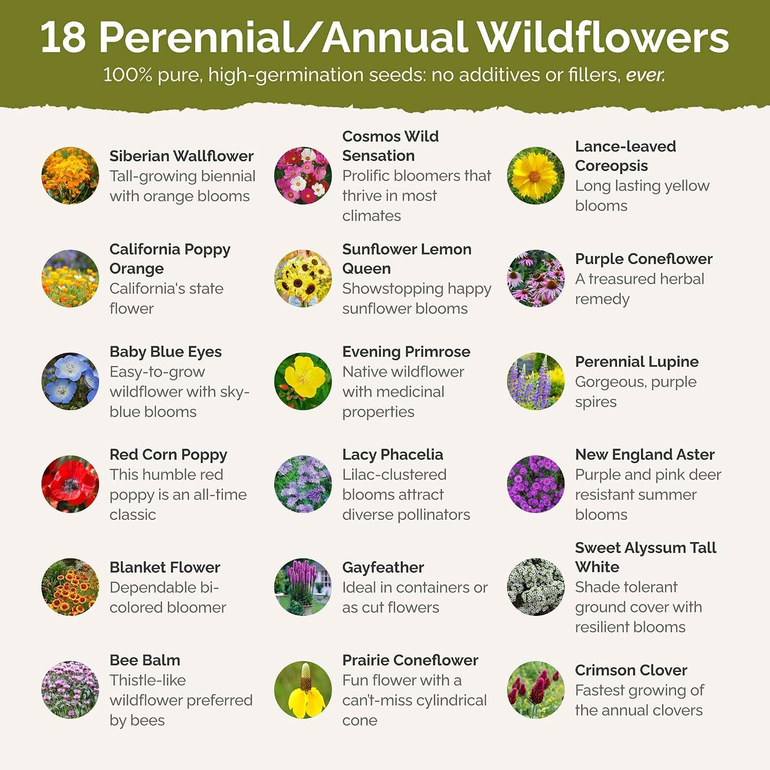 Eden Brothers The Bees Knees Pollinator Wildflower Seed Mix, 1 lb | (543,000+ Seeds), Throw and Grow, 100% Pure, No