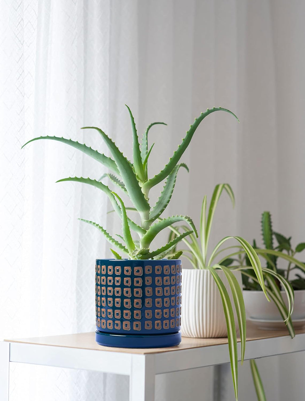 D'vine Dev Set of 2 Ceramic Planter Pots with Drainage Hole and Saucer, 4.5 Inch 6 Inch Plant Pots for Indoor