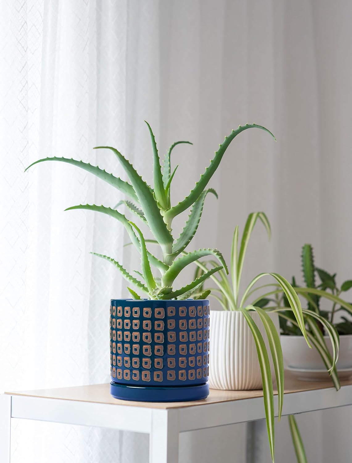 D'vine Dev Set of 2 Ceramic Planter Pots with Drainage Hole and Saucer, 4.5 Inch 6 Inch Plant Pots for Indoor