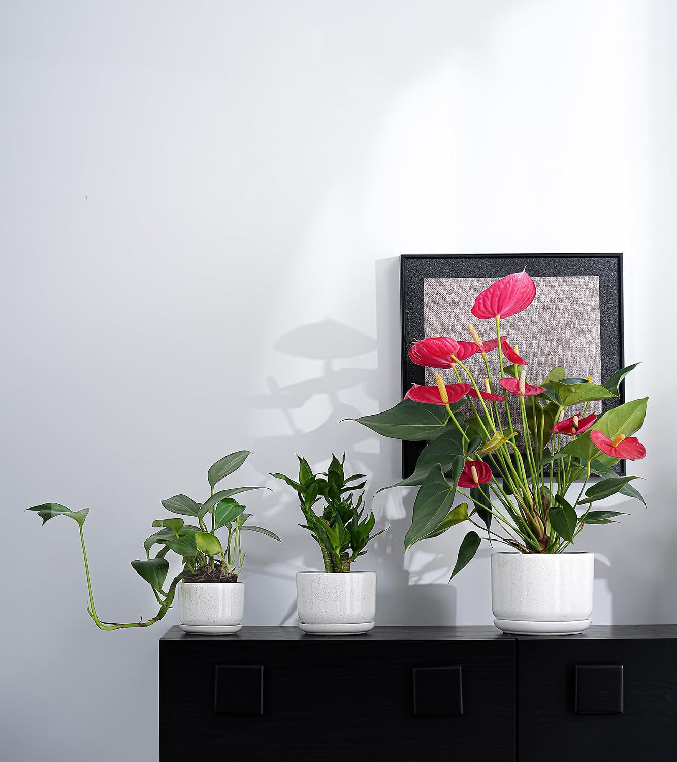 Ceramic Planters,Plant Pots with Saucers Set of 3(Reactive Glaze White) | Colorful Ceramic Planters for Indoor Plants