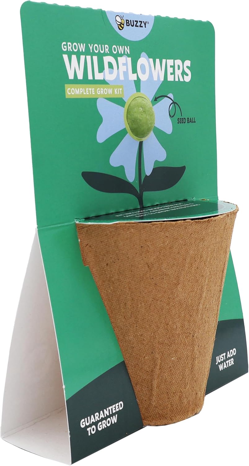 BUZZY Seeds Wildflower Seed Ball Cup 6-Pack – Over 50 Seeds Per Ball, Colorful Decorative Seed Balls in Biodegradable