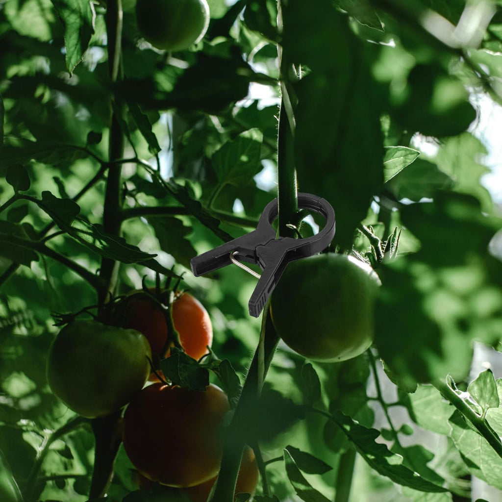 BESPORTBLE Tie the Vine Clip 100Pcs Black Plastic Garden Clips for Tomato and Cucumber Support Durable Plant Ties for
