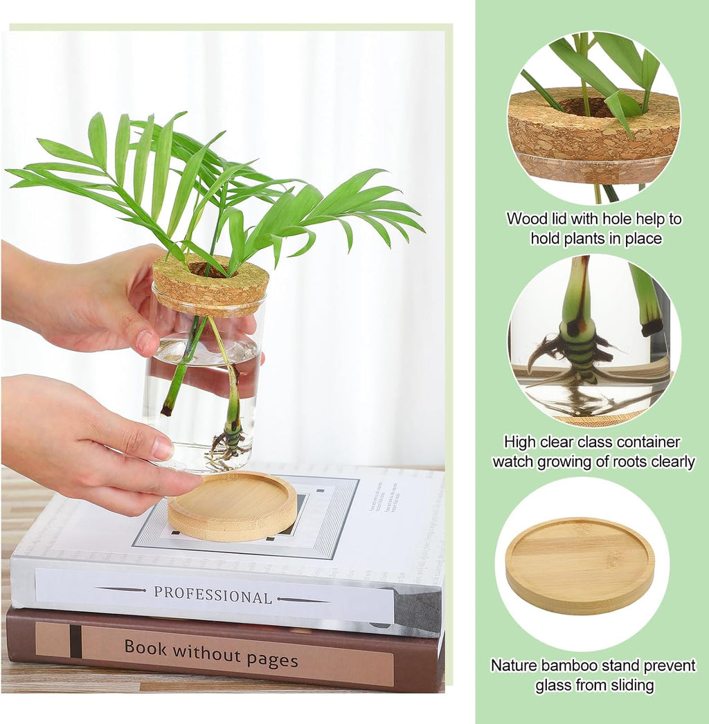 Honeydak 6 Pcs Plants Propagation Stations Planter Terrariums with Wooden Lid and Bamboo Stand Desktop Glass