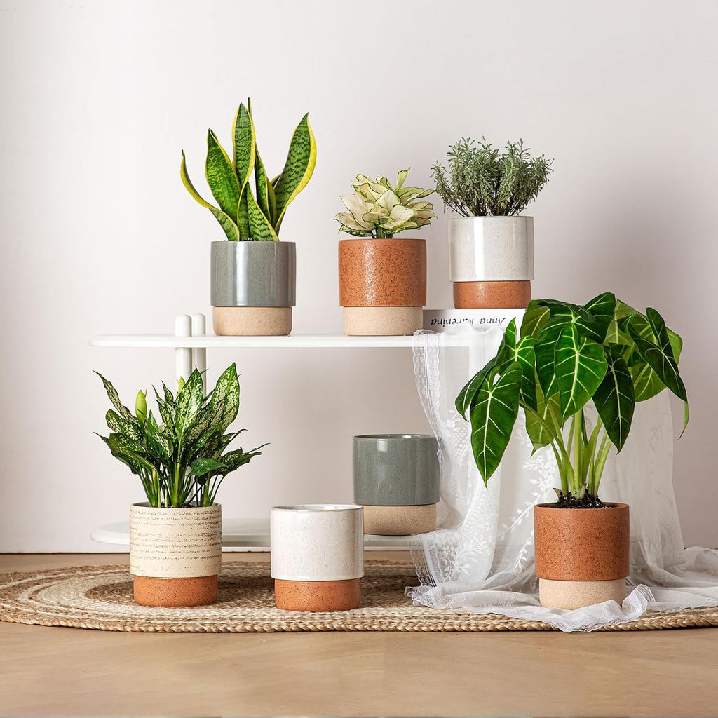 6 Inch Ceramic Self Watering Planter with Drainage Hole, Brush | Indoor Plant Pot with Water Storage Plus - for African
