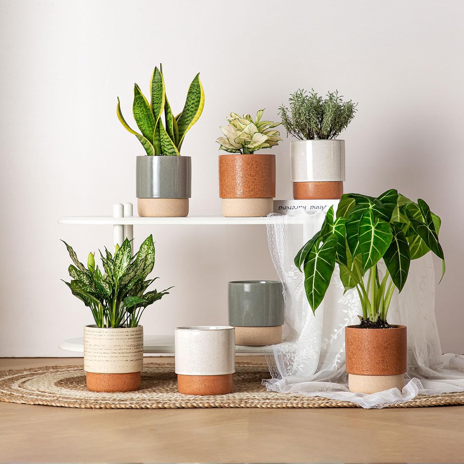 6 Inch Ceramic Self Watering Planter with Drainage Hole, Brush | Indoor Plant Pot with Water Storage Plus - for African