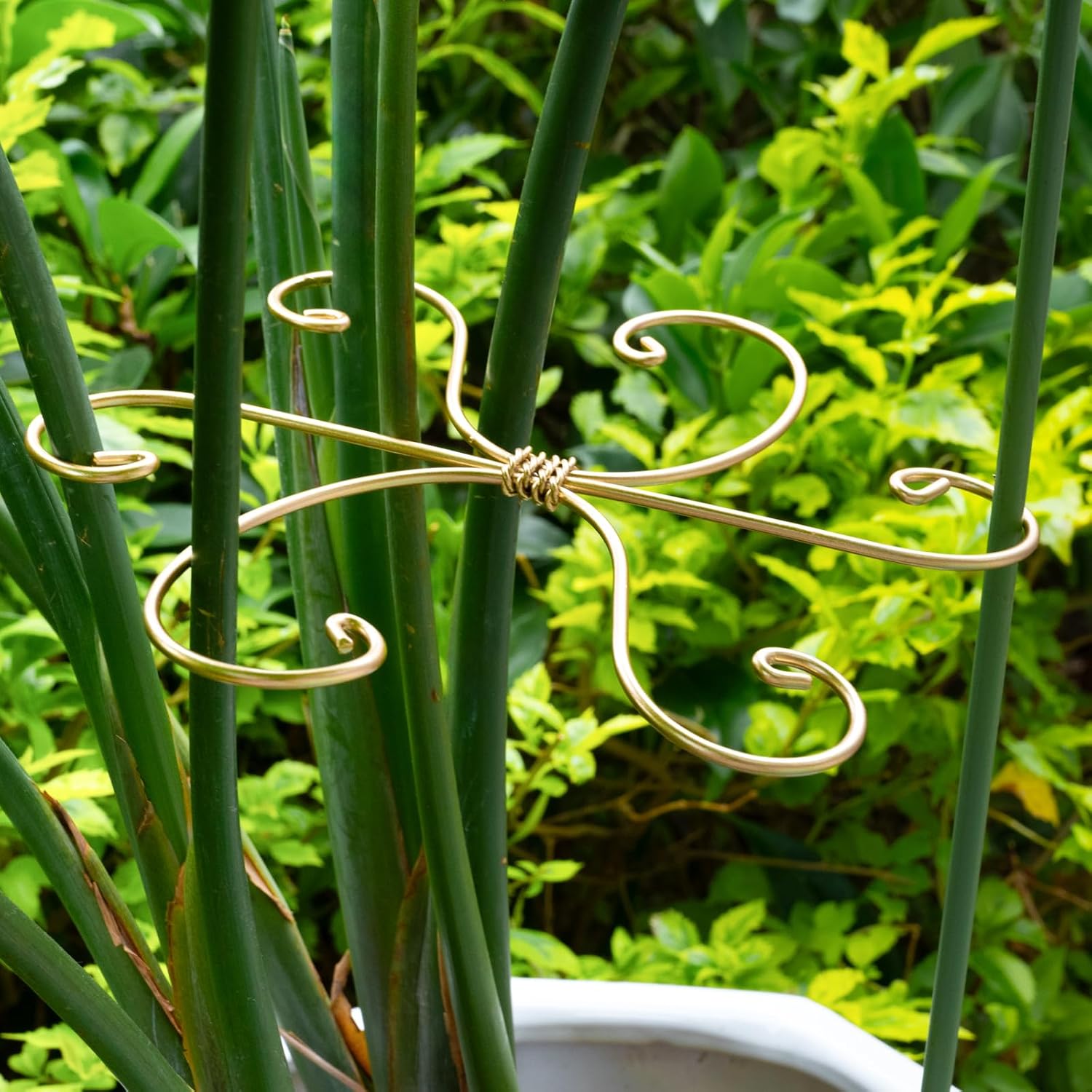 7.5In Monstera Plant Stem Support Hook Set-5PCS Metal stem Holder | Premium Stem Support for Monstera &