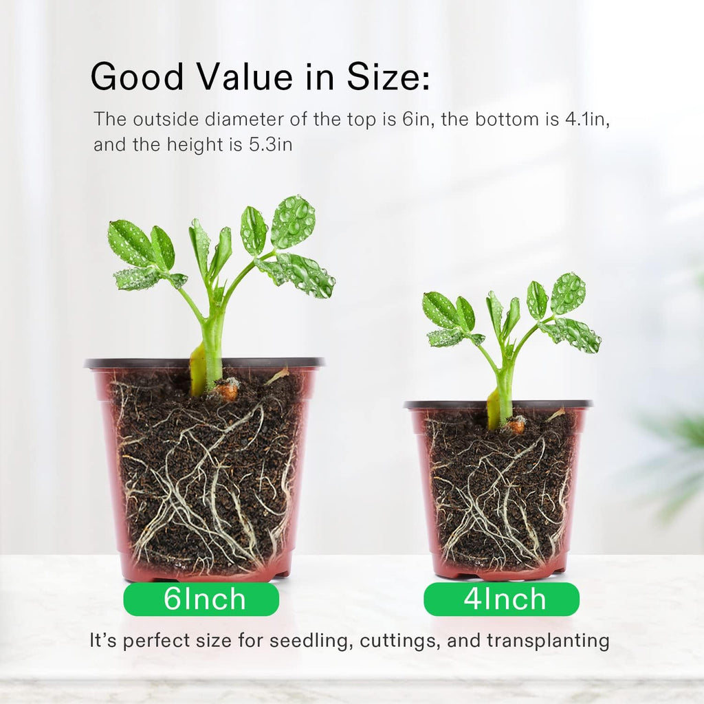 VIVOSUN 50 Pcs 6 in Plastic Plant Nursery Pots, Seed Starting Pots | Flower Plant Container for Seedlings, Cuttings
