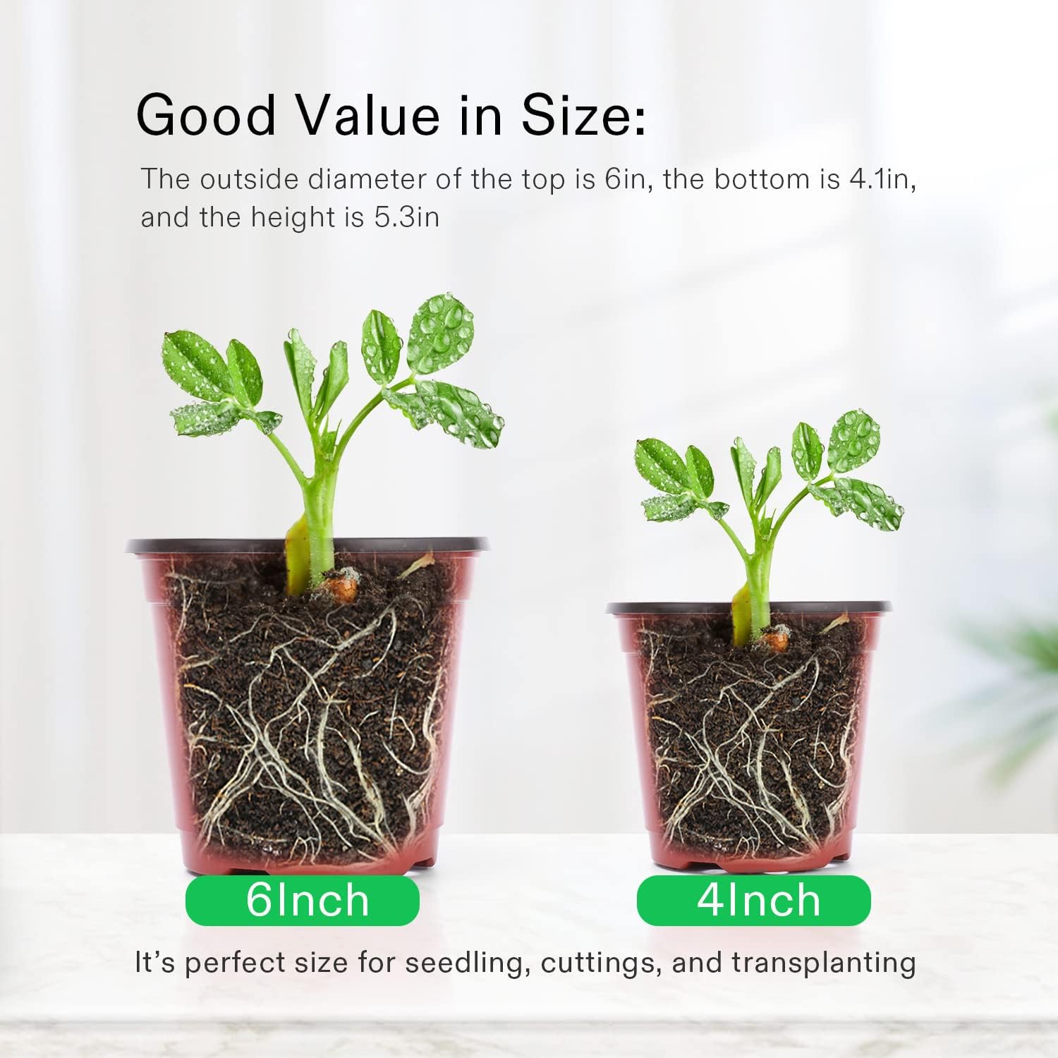 VIVOSUN 50 Pcs 6 in Plastic Plant Nursery Pots, Seed Starting Pots | Flower Plant Container for Seedlings, Cuttings