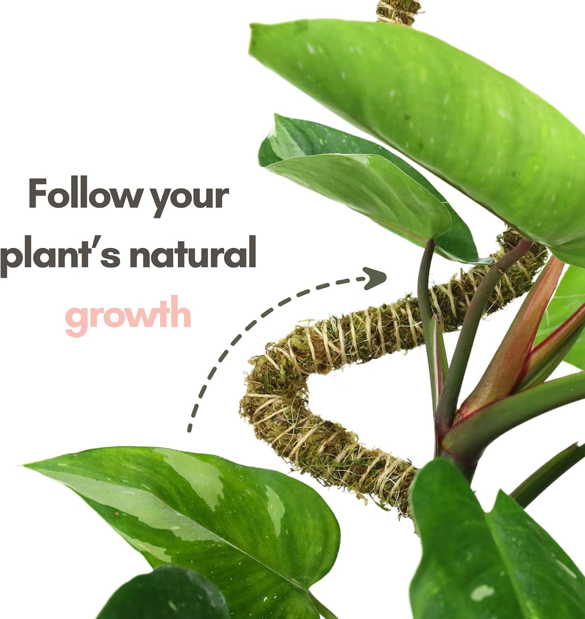 Bendable Moss Pole, 3 Pack, 16/30/42 in | Stackable & Shapeable Support for Climbing Monstera, Pothos & Philodendron