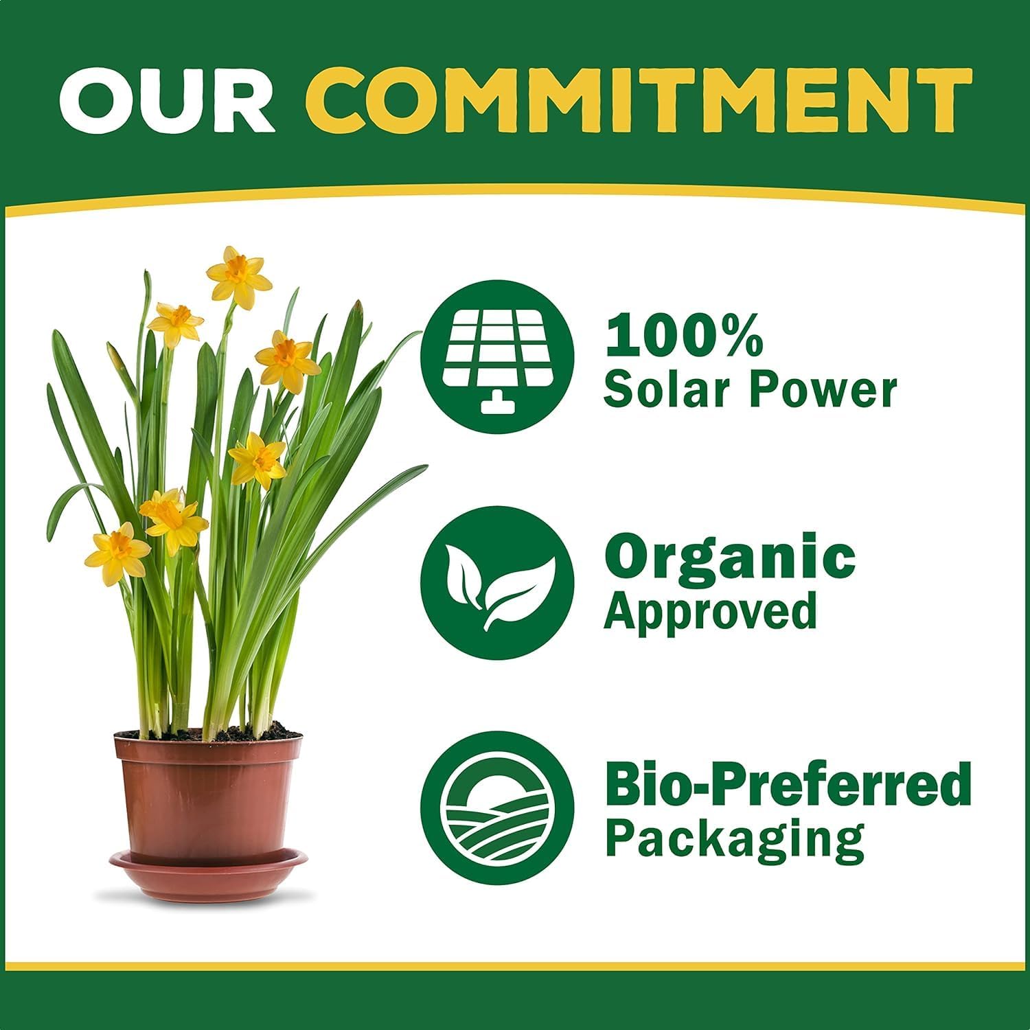 Espoma Bio-Tone Starter Plus 25 lb Natural & Organic Plant Food – Enhanced with Beneficial Microbes & Mycorrhizae