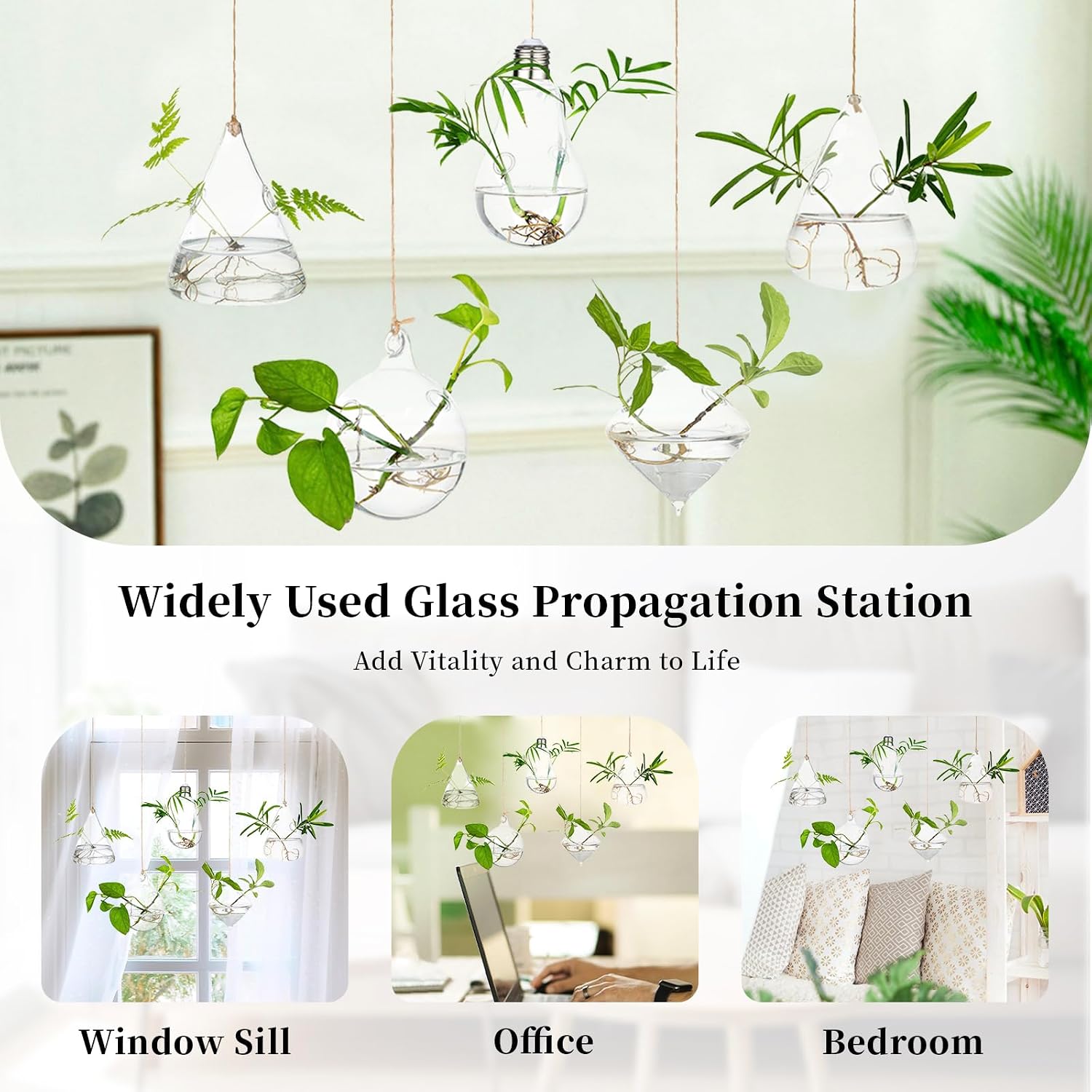 Glasseam Hanging Plant Propagation Station: 5Pcs Small Glass Terrarium Jars | Hydroponic Planters for Indoor Pothos