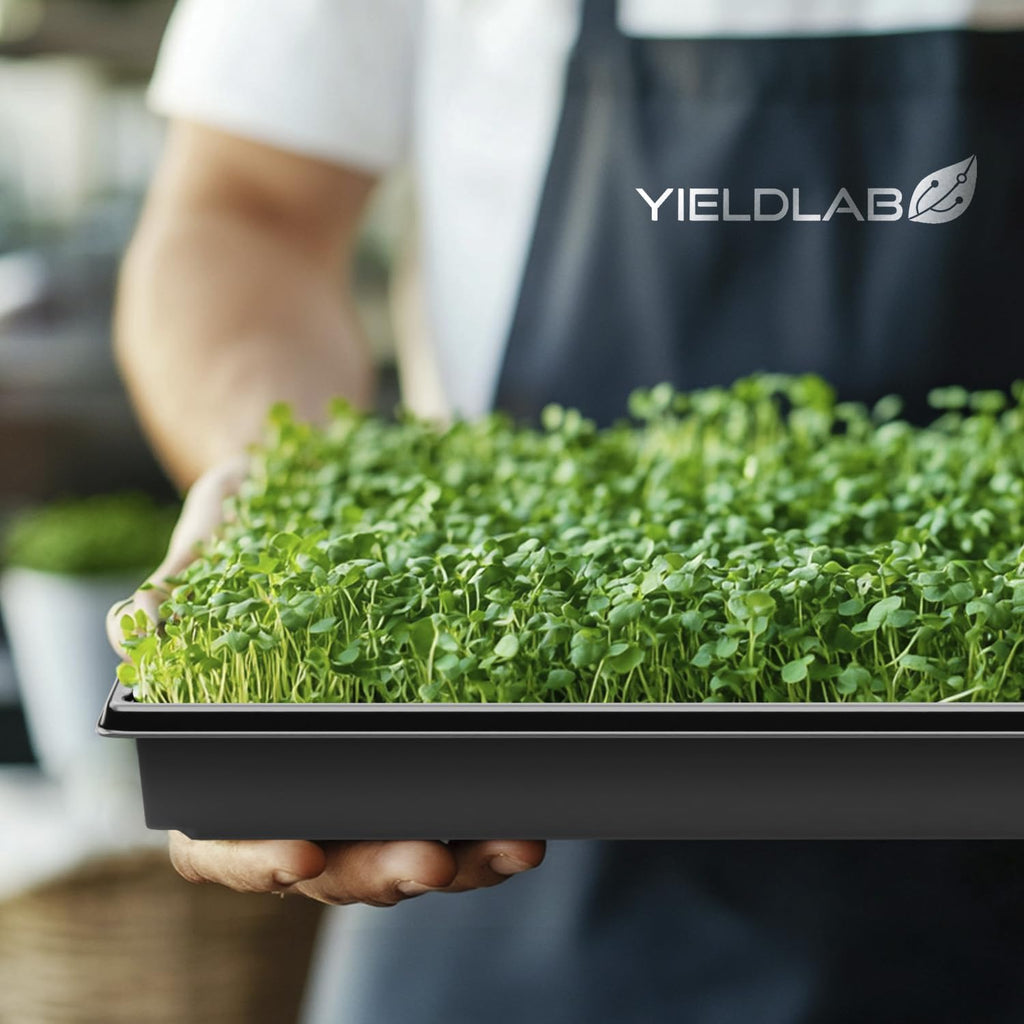 10x20 Inch Black Plastic 10 Pack Plant Propagation Tray No Holes | Growing Trays For Garden, Planting, Seedling, Soil &