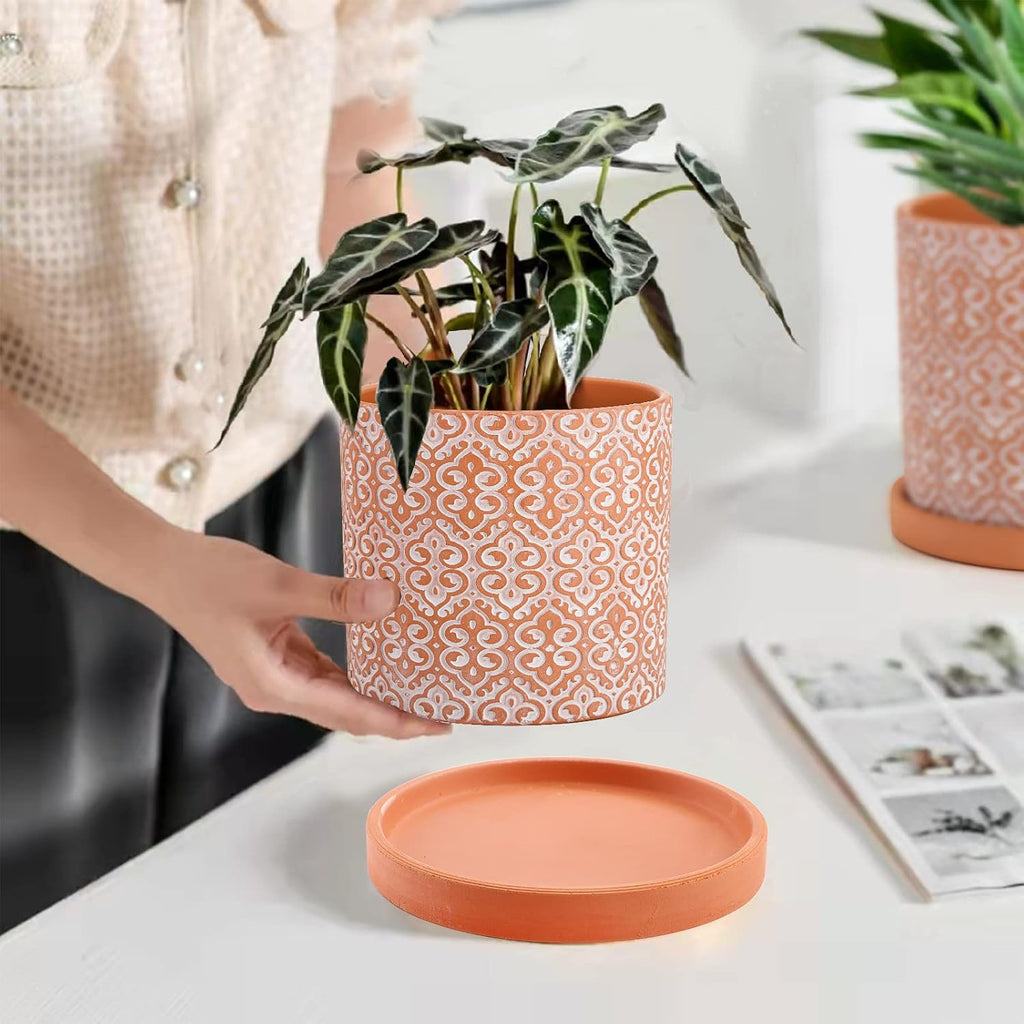 Frcctre 2 Pack Terracotta Pots for Plants, 5 Inch Succulent Planter Pot with Drainage Hole and Saucer, Clay Pottery