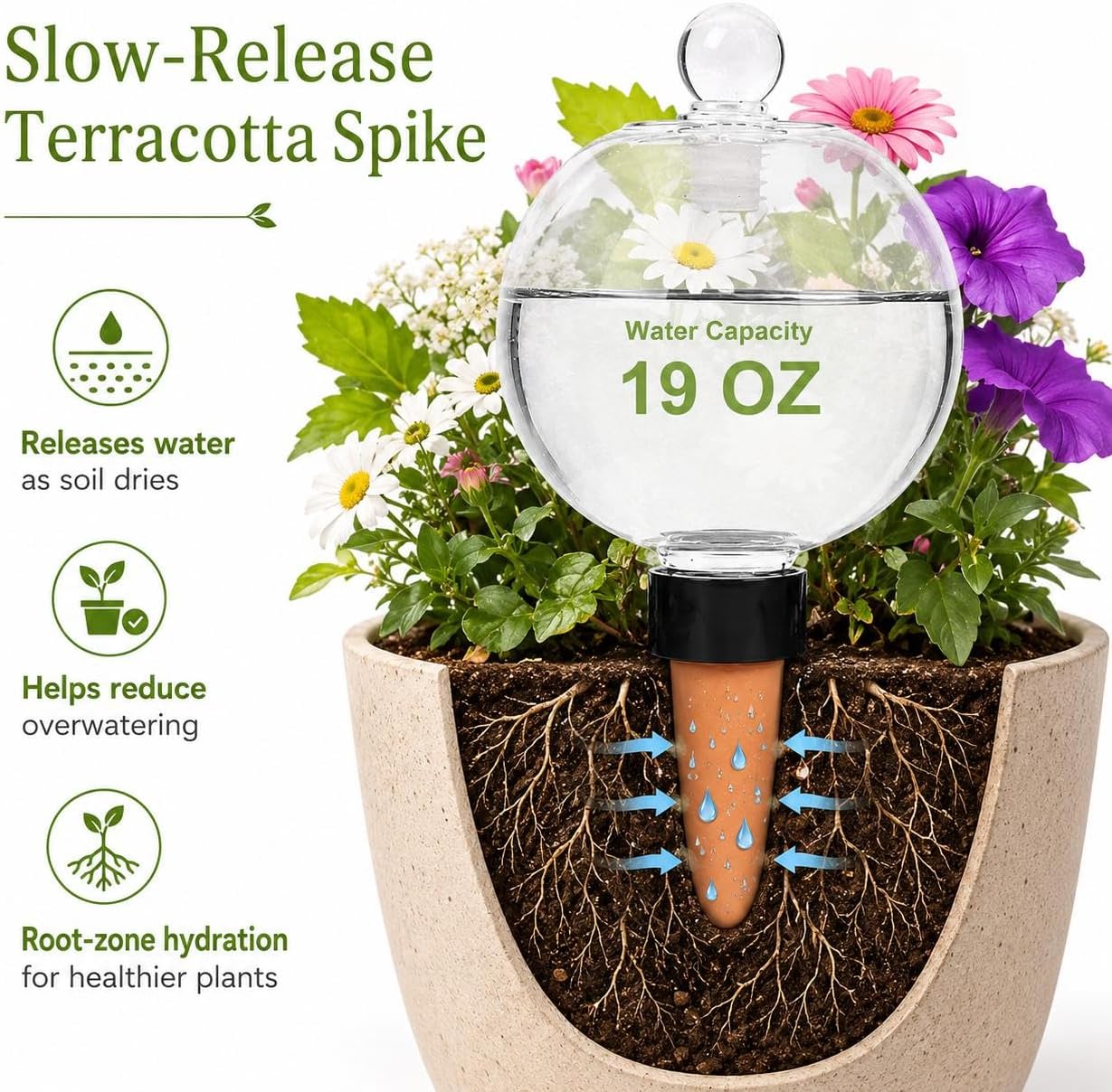 19 oz Large Self Watering Globes for Plants, Top Fill, 4 Pack | Clear 19 oz reservoir with porous terracotta spike for