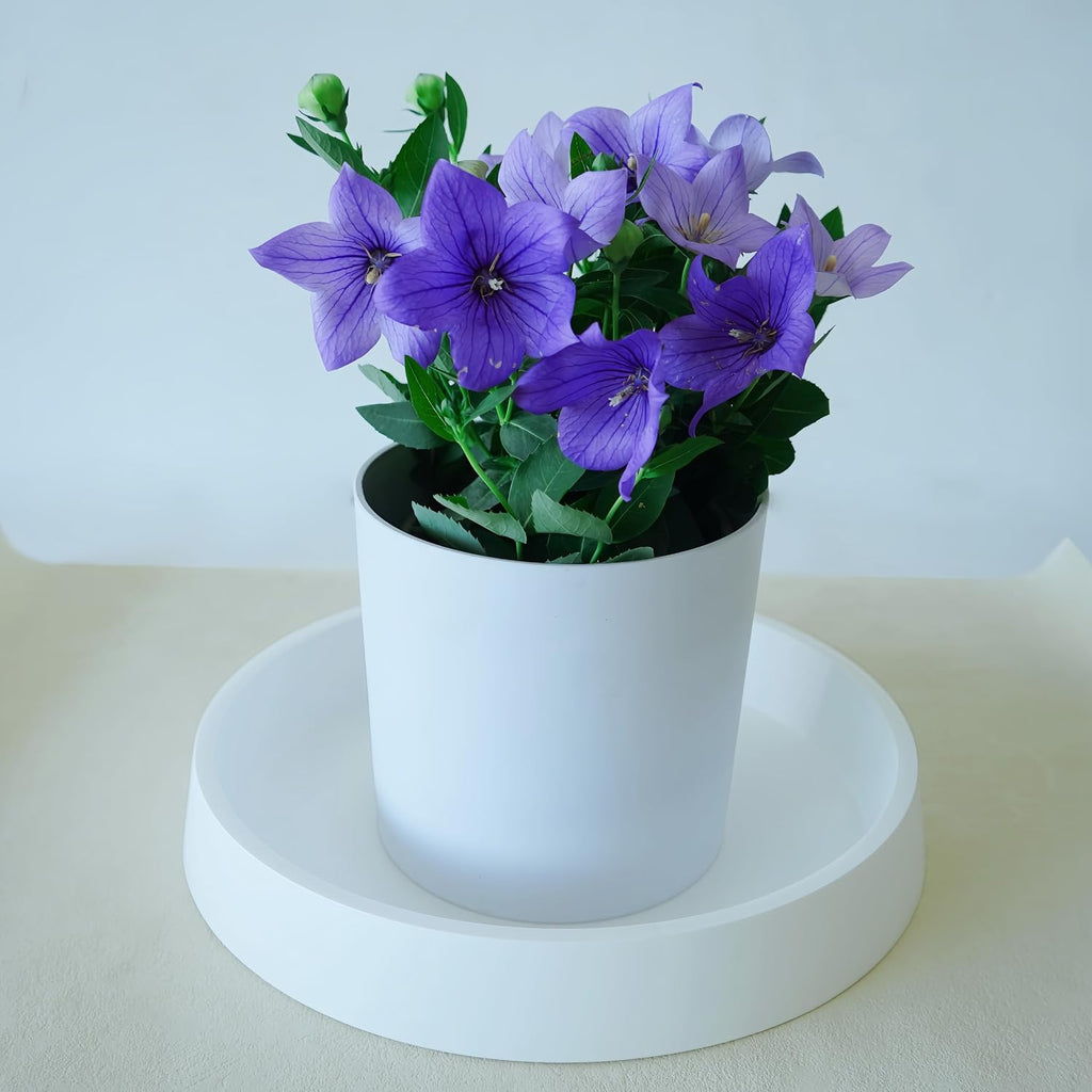 Plant Saucer Tray for Ceramic Plastic Pots, 20 inch Plant Saucers for Indoors, Pot Saucers Trays, Bird Bath Bowls